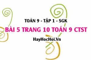 Bài 5 trang 10 Toán 9 tập 1 Chân trời sáng tạo SGK